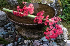 水琴窟 Suikinkutsu, a water pot that makes a delicate natural sound in a ceramic pot under the ground..